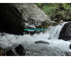 7 Acres Cardamom Estate for sale near Meppadi,Lantren Stay Resort