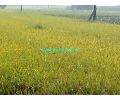 1 Acre Agriculture Land for Sale at Kunderu Road, Manikonda
