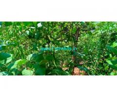 20 Acres Agriculture Land with Water Falls for Sale in KodaiKanal