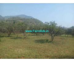 6.5 Acres Agriculture Land for Sale near Burjivalasa,Kottiparvu