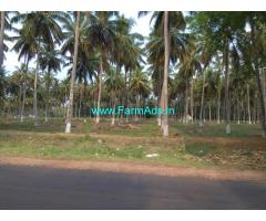 15 Acres Coconut Farm for Sale at Pollachi Sub-District