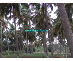 15 Acres Coconut Farm for Sale at Pollachi Sub-District