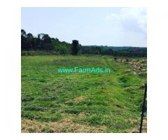 3 acre plain Agriculture land for sale in sakaleshpura , Hassan district