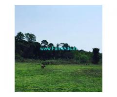 3 acre plain Agriculture land for sale in sakaleshpura , Hassan district