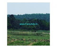 3 acre plain Agriculture land for sale in sakaleshpura , Hassan district