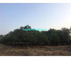 4.30 Acres Agriculture Land for Sale at Jaggayyapeta,Mangollu Road