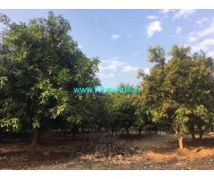 4.30 Acres Agriculture Land for Sale at Jaggayyapeta,Mangollu Road
