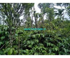 5.5 acre coffee estate for sale at Sakleshpura-kodlipet Road