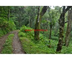 7 Acres Cardamom Estate for sale in Meppadi - Kalpetta - Wayanad