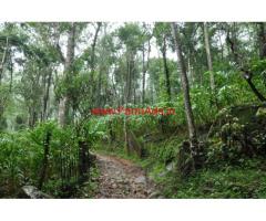 7 Acres Cardamom Estate for sale in Meppadi - Kalpetta - Wayanad