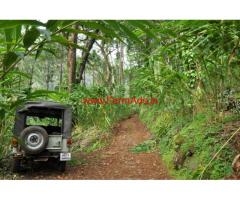 7 Acres Cardamom Estate for sale in Meppadi - Kalpetta - Wayanad