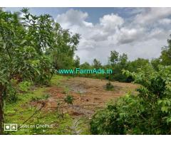 1.17 Acre Land for sale in PERDOOR location...Udupi