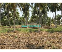 Canal Irrigated 50 Acres Paddy Land for sale near Narsapur