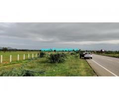 9 Acres Agriculture Land for Sale near Anantapur,KIA Motors