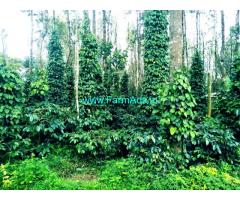 12 Acre arabhica coffee plantation for sale at Hassan - Belur.