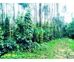 12 Acre arabhica coffee plantation for sale at Hassan - Belur.