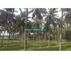 7 Acres COCONUT FARM FOR SALE at Pollachi