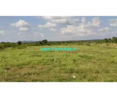 17 Acres agriculture land for sale at Bukkapatna, Sira, Tumkur.