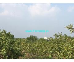 8-acres,Jama-mamidi thota