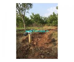 8-acres,Jama-mamidi thota