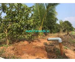 8-acres,Jama-mamidi thota