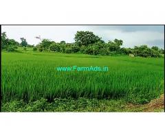 10 Acres Agriculture Land for Sale near Kesamudram