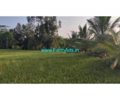 1 acre coconut farm land for sale near Maddur - Mandya.