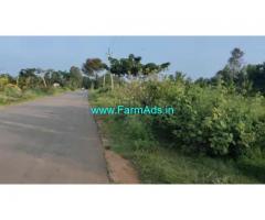 1 acre coconut farm land for sale near Maddur - Mandya.