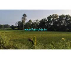 1 acre coconut farm land for sale near Maddur - Mandya.