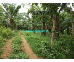 45 Acres Agriculture Land for sale near Gajapathinagaram