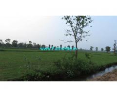 48 Kuli Farm Land for Sale near Palani