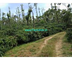 48 Acres Coffee Estate for Sale in Hassan