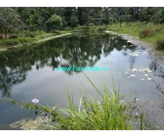 48 Acres Coffee Estate for Sale in Hassan