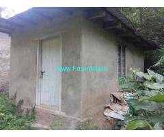 28 Acres Cardamom Estate for Lease at Nedumkandam