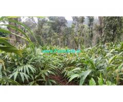 28 Acres Cardamom Estate for Lease at Nedumkandam