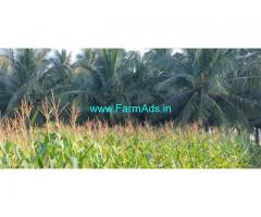 65 Acres Coconut Farm Land for Sale near Coimbatore