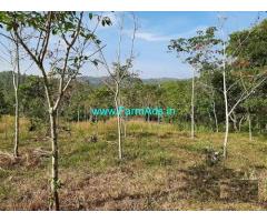 50 Cent Land for sale near Payyampally