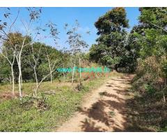 50 Cent Land for sale near Payyampally
