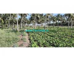 3.50 Acre Farm Land for Sale Near Udumalaipettai