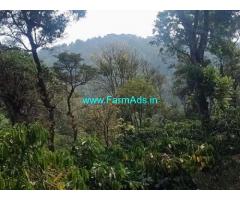 70 Acre Coffee Estate with Farm house for Sale Near Chikmagalur