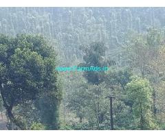 70 Acre Coffee Estate with Farm house for Sale Near Chikmagalur