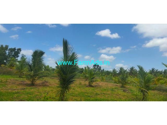 4 Acre Agriculture coconut farm Land for Sale Near Yediyur 4 Acre Agriculture coconut farm Land for Sale Near Yediyur