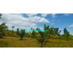 4 Acre Agriculture coconut farm Land for Sale Near Yediyur 4 Acre Agriculture coconut farm Land for Sale Near Yediyur