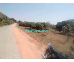 7 Acre Mango Groove for Sale Near Thavanampalli Mandal