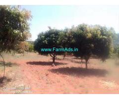 7 Acre Mango Groove for Sale Near Thavanampalli Mandal