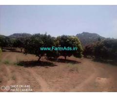 7 Acre Mango Groove for Sale Near Thavanampalli Mandal