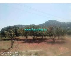 7 Acre Mango Groove for Sale Near Thavanampalli Mandal