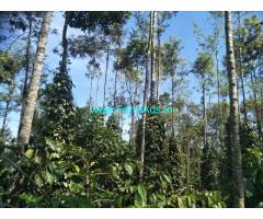 460 Acres Coffee,Cardamom Estate with Resort sale at Nelliampathy