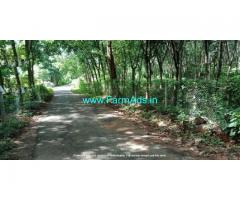 2.75 Acre Agriculture Land for Sale Near Vaniyamkulam