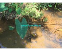 3 Acre Agriculture Land for Sale Near Jannapura